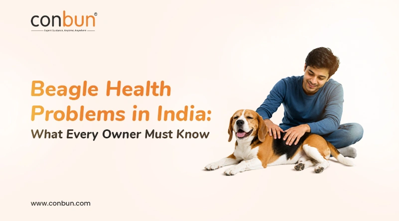 Beagle Health Problems in India: What Every Owner Must Know
